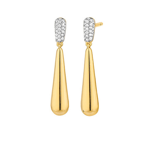 Double Drop Two Tone Earrings